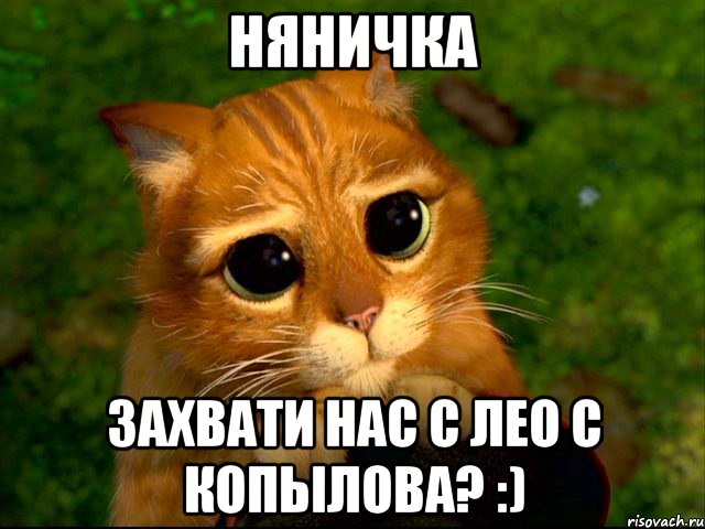 няничка захвати нас с лео с копылова? :), Мем кот из шрека