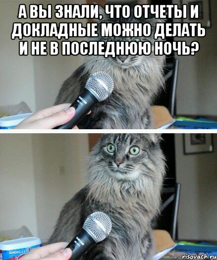 а вы знали, что отчеты и докладные можно делать и не в последнюю ночь? , Комикс  кот с микрофоном