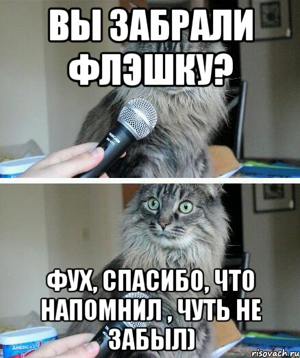 Вы забрали флэшку? фух, спасибо, что напомнил , чуть не забыл), Комикс  кот с микрофоном