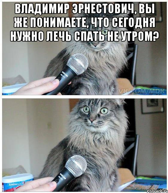 владимир эрнестович, вы же понимаете, что сегодня нужно лечь спать не утром? , Комикс  кот с микрофоном