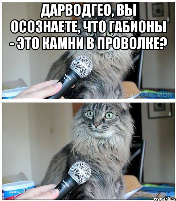 дарводгео, вы осознаете, что габионы - это камни в проволке? , Комикс  кот с микрофоном