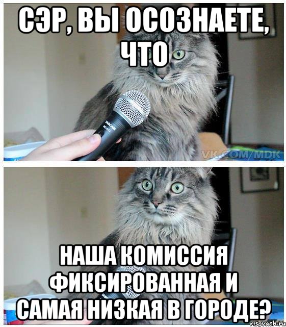 сэр, вы осознаете, что наша комиссия фиксированная и самая низкая в городе?, Комикс  кот с микрофоном