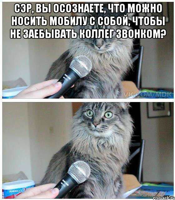 сэр, вы осознаете, что можно носить мобилу с собой, чтобы не заебывать коллег звонком? , Комикс  кот с микрофоном