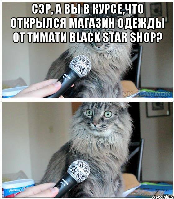 Сэр, а вы в курсе,что открылся магазин одежды от Тимати Black Star shop? , Комикс  кот с микрофоном