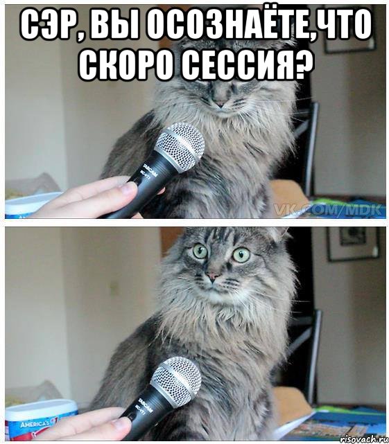 Сэр, вы осознаёте,что скоро сессия? , Комикс  кот с микрофоном