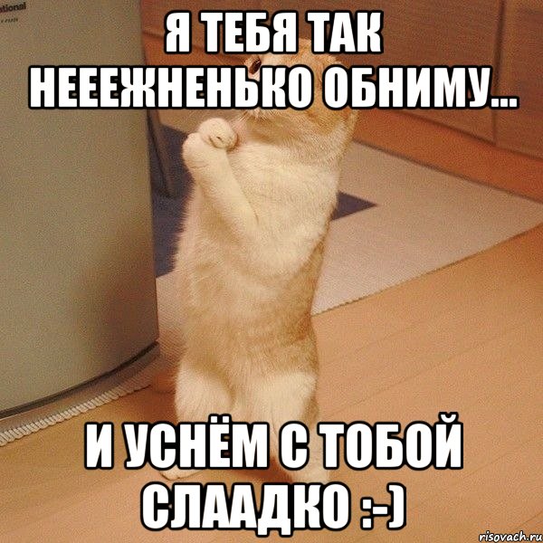 я тебя так нееежненько обниму... и уснём с тобой слаадко :-), Мем  котэ молится