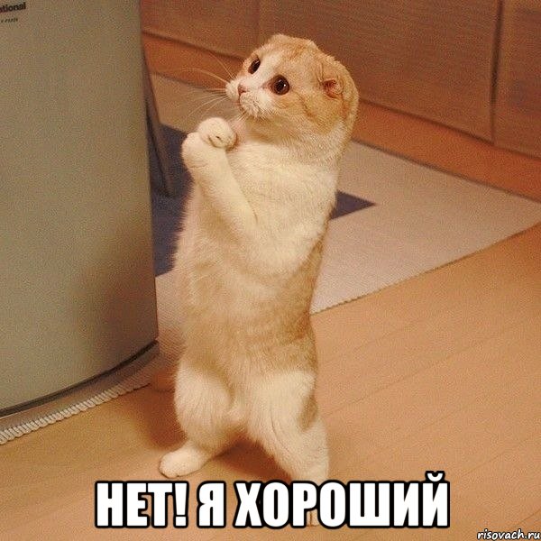  нет! я хороший, Мем  котэ молится