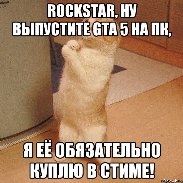 rockstar, ну выпустите gta 5 на пк, я её обязательно куплю в стиме!, Мем  котэ молится