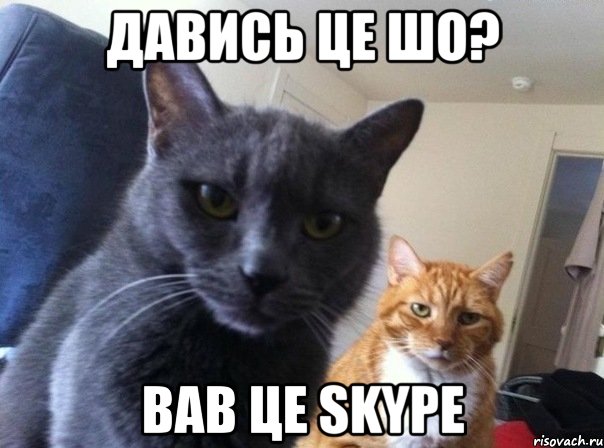 давись це шо? вав це skype, Мем  Два котэ