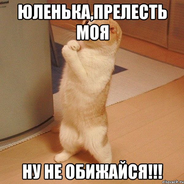 юленька,прелесть моя ну не обижайся!!!, Мем  котэ молится