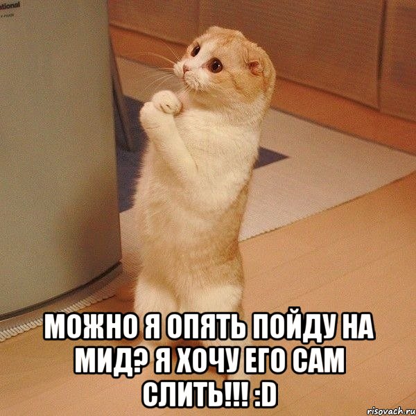  можно я опять пойду на мид? я хочу его сам слить!!! :d, Мем  котэ молится