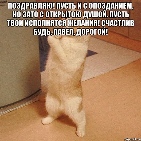 поздравляю! пусть и с опозданием, но зато с открытою душой. пусть твои исполнятся желания! счастлив будь, павел, дорогой! , Мем  котэ молится