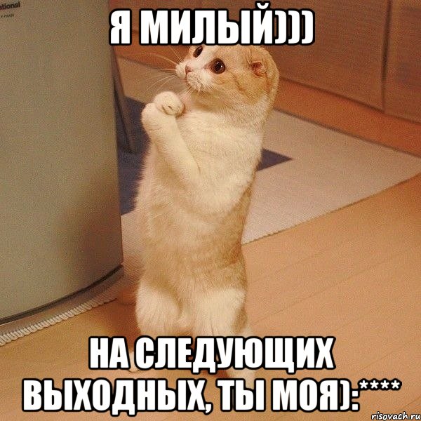 Я милый))) На следующих выходных, ты моя):****, Мем  котэ молится