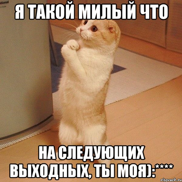 Я такой милый что На следующих выходных, ты моя):****, Мем  котэ молится