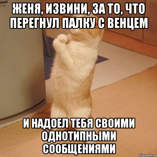 ЖЕНЯ, ИЗВИНИ, ЗА ТО, ЧТО ПЕРЕГНУЛ ПАЛКУ С ВЕНЦЕМ И НАДОЕЛ ТЕБЯ СВОИМИ ОДНОТИПНЫМИ СООБЩЕНИЯМИ, Мем  котэ молится