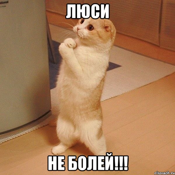 Люси Не болей!!!