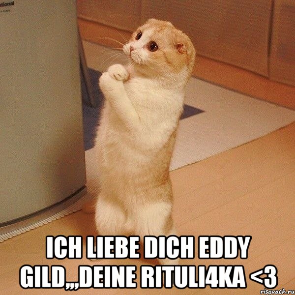  ich liebe dich Eddy Gild,,,deine Rituli4ka <3, Мем  котэ молится