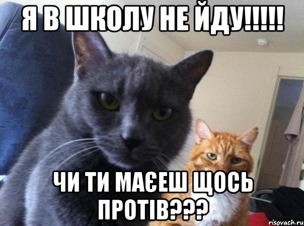 я в школу не йду!!!!! ЧИ ТИ МАЄЕШ ЩОСЬ ПРОТІВ???, Мем  Два котэ