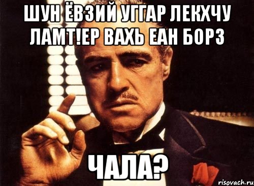 шун ёвзий уггар лекхчу ламт!ер вахь еан борз чала?, Мем крестный отец