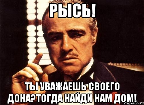 Рысь! ты уважаешь своего дона?тогда найди нам дом!, Мем крестный отец