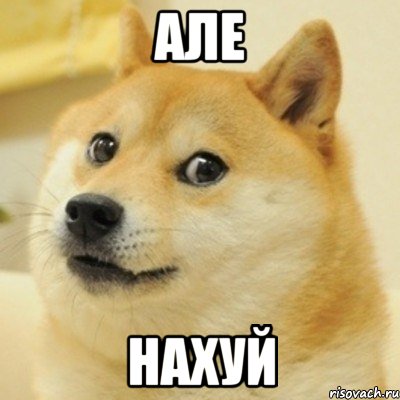 Але Нахуй, Мем doge woof