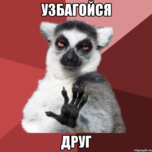 узбагойся друг, Мем Узбагойзя