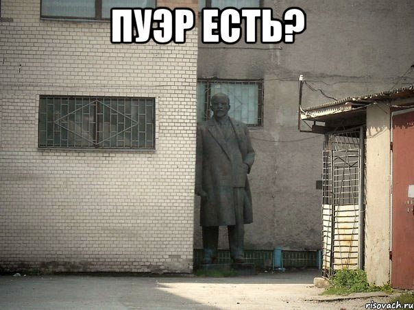 пуэр есть? , Мем  Ленин за углом (пс, парень)