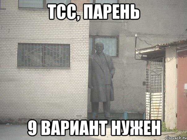 тсс, парень 9 вариант нужен, Мем  Ленин за углом (пс, парень)