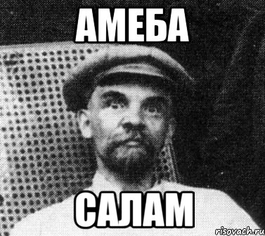 Амеба салам, Мем   Ленин удивлен