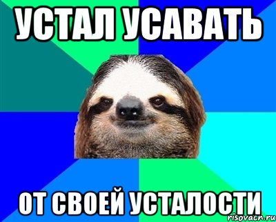 устал усавать от своей усталости, Мем Ленивец