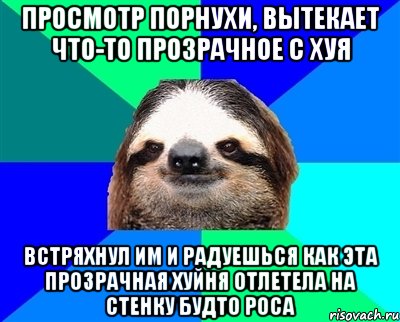 просмотр порнухи, вытекает что-то прозрачное с хуя встряхнул им и радуешься как эта прозрачная хуйня отлетела на стенку будто роса, Мем Ленивец