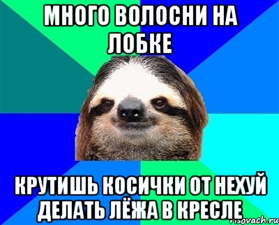 много волосни на лобке крутишь косички от нехуй делать лёжа в кресле, Мем Ленивец