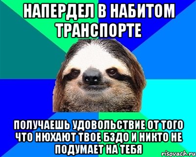 напердел в набитом транспорте получаешь удовольствие от того что нюхают твое бздо и никто не подумает на тебя, Мем Ленивец