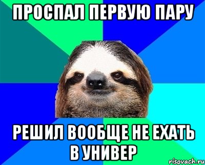 Проспал первую пару Решил вообще не ехать в универ, Мем Ленивец