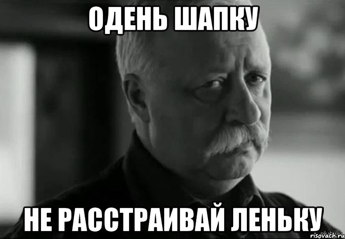 одень шапку не расстраивай леньку, Мем Не расстраивай Леонида Аркадьевича