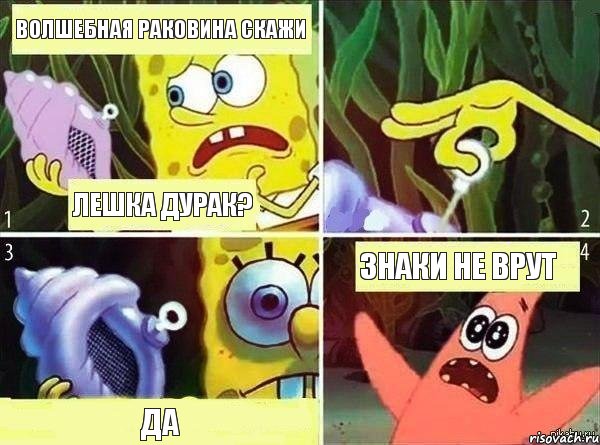 Волшебная раковина скажи Лешка дурак? Да Знаки не врут