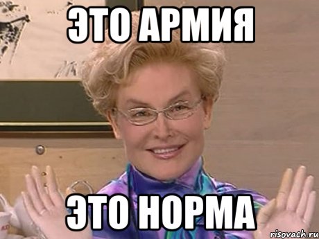 это армия это норма, Мем Елена Малышева