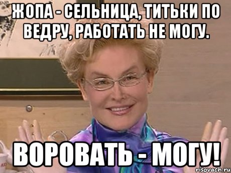 жопа - сельница, титьки по ведру, работать не могу. воровать - могу!, Мем Елена Малышева