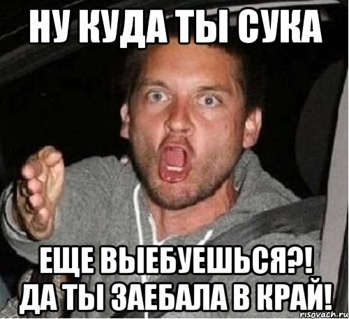 НУ КУДА ТЫ СУКА ЕЩЕ ВЫЕБУЕШЬСЯ?! ДА ТЫ ЗАЕБАЛА В КРАЙ!