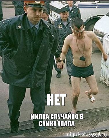 нет милка случайно в сумку упала