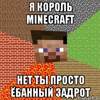 я король minecraft нет ты просто ёбанный задрот, Мем Миникрафтер