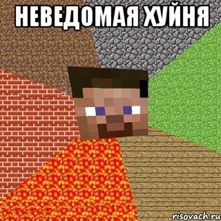 неведомая хуйня , Мем Миникрафтер