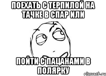 поехать с терпилой на тачке в спар или пойти с пацанами в полярку, Мем Мне кажется или