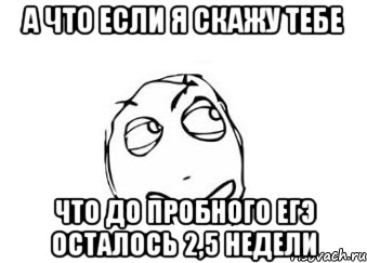 а что если я скажу тебе что до пробного егэ осталось 2,5 недели, Мем Мне кажется или