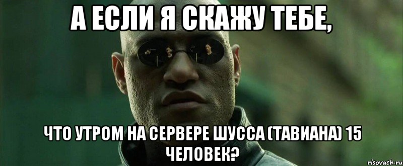 А если я скажу тебе, Что утром на сервере Шусса (Тавиана) 15 человек?, Мем  морфеус