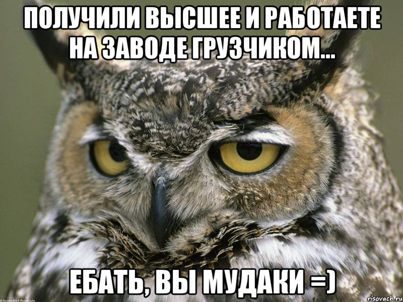 Получили высшее и работаете на заводе грузчиком... ебать, Вы мудаки =), Мем Мудак