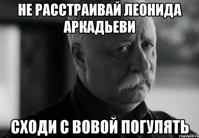 не расстраивай леонида аркадьеви сходи с Вовой погулять, Мем Не расстраивай Леонида Аркадьевича