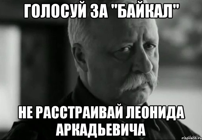 ГОЛОСУЙ ЗА "БАЙКАЛ" НЕ РАССТРАИВАЙ ЛЕОНИДА АРКАДЬЕВИЧА, Мем Не расстраивай Леонида Аркадьевича