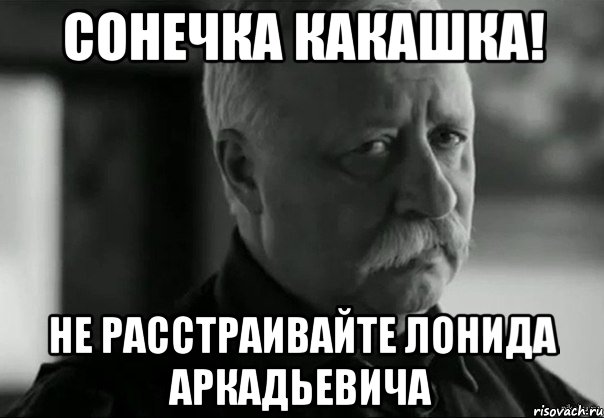 сонечка какашка! не расстраивайте лонида аркадьевича, Мем Не расстраивай Леонида Аркадьевича