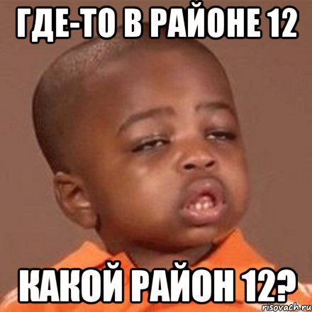 ГДЕ-ТО В РАЙОНЕ 12 Какой район 12?, Мем  Какой пацан (негритенок)